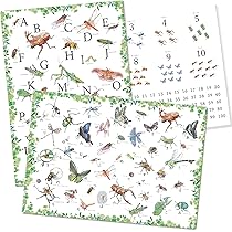 Amazon.co.jp: チアフル舎 【森の昆虫ポスター】 A3 3枚セット